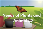 needs of plants and animals 